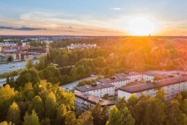 De bygger för miljön och att bevara den ovärderliga skogen Thumbnail