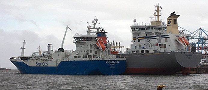 Coralius