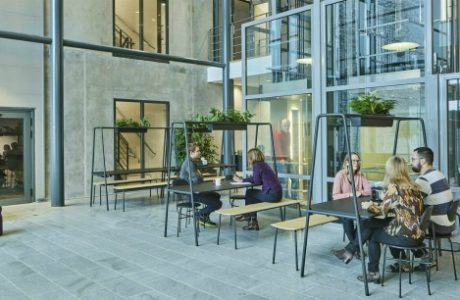 Därför vill forskarna få oss att bygga färre hus