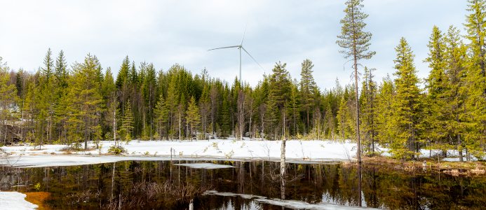 Vindkraftverket H16, som i stunden producerar kraft, återspeglas i Lalampbäcken. Foto: Patrik Forsberg
