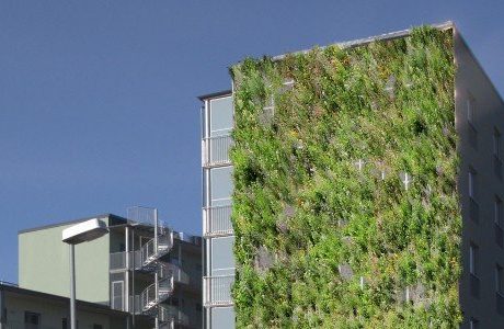 Här byggs landets första växtvägg på ett bostadshus
