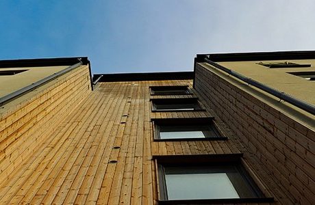 Woodsafe etablerar sig på världsmarknaden