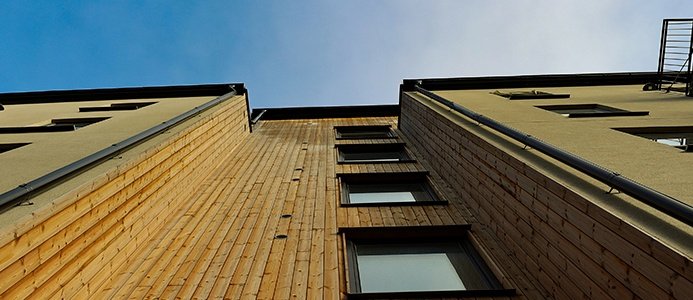 Woodsafe etablerar sig på världsmarknaden