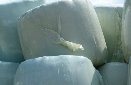 Efter konkursen - riskerar åtal för dumpat byggavfall