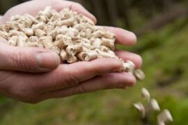 ​Derome del i stor pelletsupphandling Thumbnail