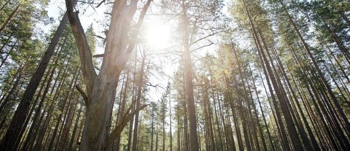 HSB Energieffektivisering