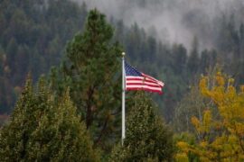 Träindustriföretag satsar på USA-export Thumbnail