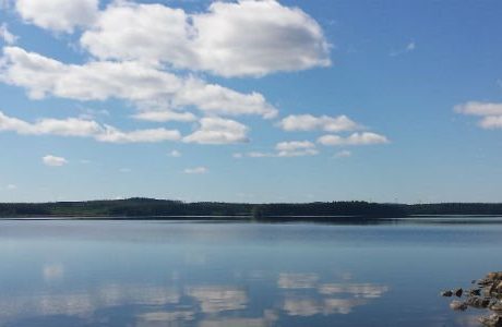 Här är IT-jättens byggplaner för Dalarna