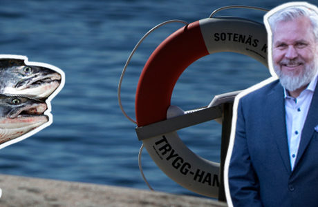 Sweco kräver laxbolag på miljonbelopp
