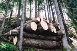 Pilotprojekt för att ersätta fossil plast Thumbnail