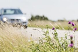 Bensin- och dieselpriser mot nya rekordhöjder Thumbnail