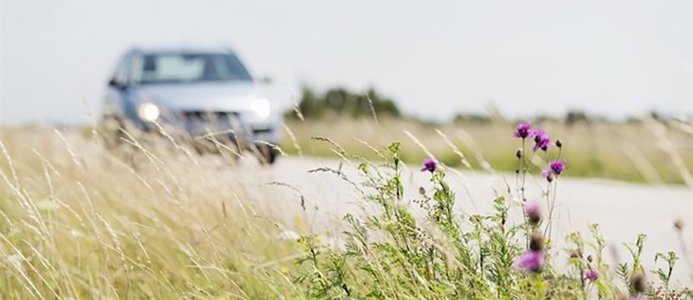 Bensin- och dieselpriser mot rekordhöjder