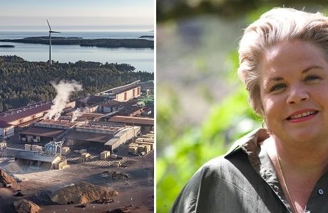 Clas Ohlsons vd tar över skogsägarjätten