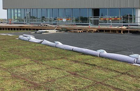 Ny simhall får 7600 kvadratmeter sedumtak