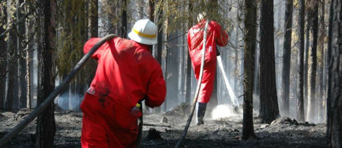 Bildkälla: Svensk Försäkring