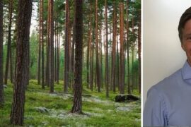 Stora Enso utser ny chef för Wood Products Thumbnail