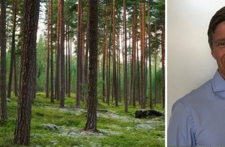 Stora Enso utser ny chef för Wood Products