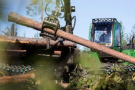 Branschen flaggar för träbrist och prisökningar Thumbnail