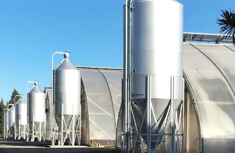 Nu ska biobränsle värma skogsplantorna
