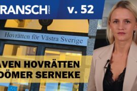 TV: Även hovrätten dömer Serneke Thumbnail