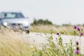 Efter överklagan – nu bygger Trafikverket om vägen Thumbnail