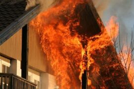 Woodsafe förädlar trä till att inte brinna – föreställ dig möjligheten Thumbnail