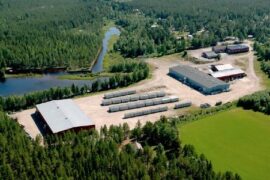 Husfabrik läggs ner – 34 anställda varslas Thumbnail