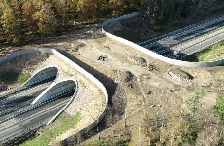 Wildlife crossing på Hallandsåsen färdigställd