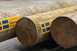 Svensk skog intar öknen i Dubai. Thumbnail