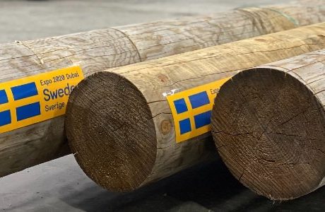 Svensk skog intar öknen i Dubai.