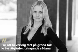 Ledare: Starka miljöskäl att bygga gröna tak Thumbnail