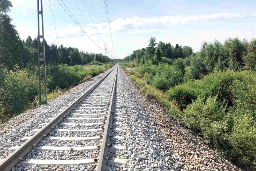 Fotograf: Adam Larsson