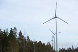 Nytt försök att snabba på vindkraftsutbyggnad Thumbnail