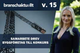 TV: Samarbete drev byggföretag till konkurs Thumbnail
