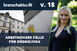 TV: Arbetsgivare fälld för dödsolycka Thumbnail