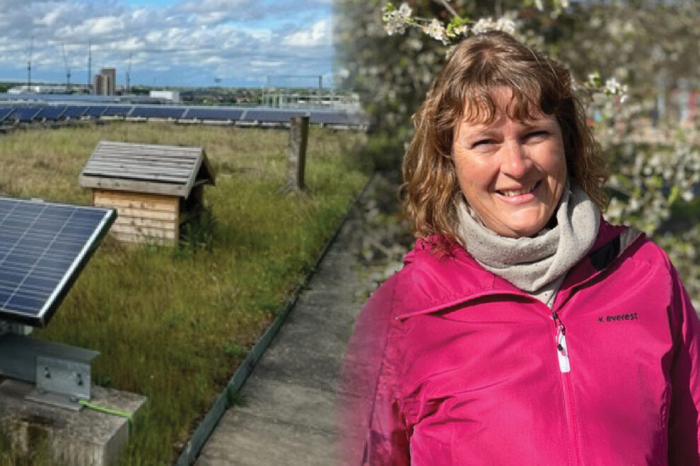 Helen Johansson, vd på Scandinavian Green Roof Institute.