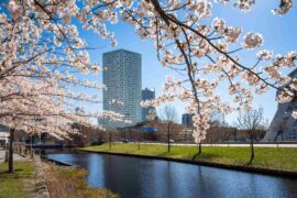 Skanska fyller på Citygate Thumbnail