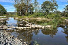 Norconsult tar fram skydd mot skred Thumbnail