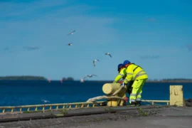 Vasa bryter sig loss med egen miljardhamn Thumbnail