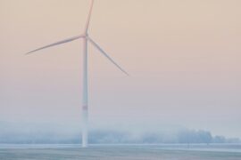 Här planerar Skellefteå för vindkraft Thumbnail