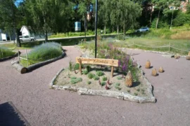 Kottedala – Från ödetomt till grönskande biologisk mångfaldspark Thumbnail