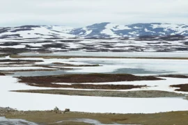 Vildmarksvägen rustas under två år Thumbnail