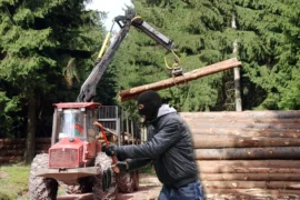 Plötslig stöldvåg mot skogsmaskiner Thumbnail