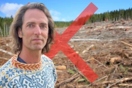 De blir först med krav på hyggesfritt virke Thumbnail
