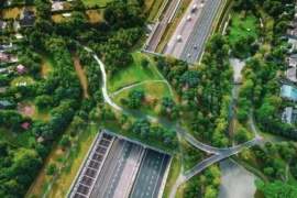 Så kan biologisk mångfald integreras i megaprojekten Thumbnail
