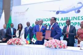 Här byggs Afrikas största flygplats – för 136 miljarder Thumbnail