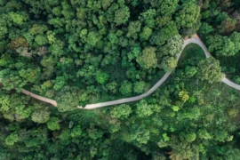 De vill köpa skog av JM – för att stoppa byggen Thumbnail